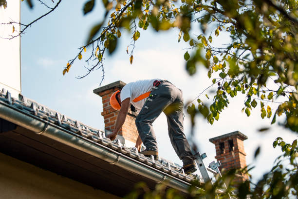 Best Flat Roof Repair Services  in Wolf Trap, VA