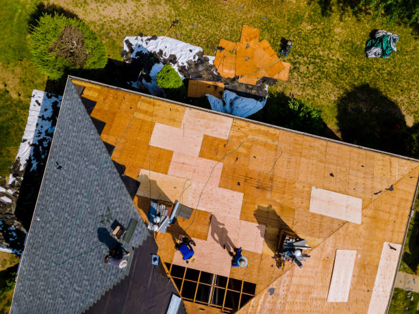 Best Roof Gutter Cleaning  in Wolf Trap, VA